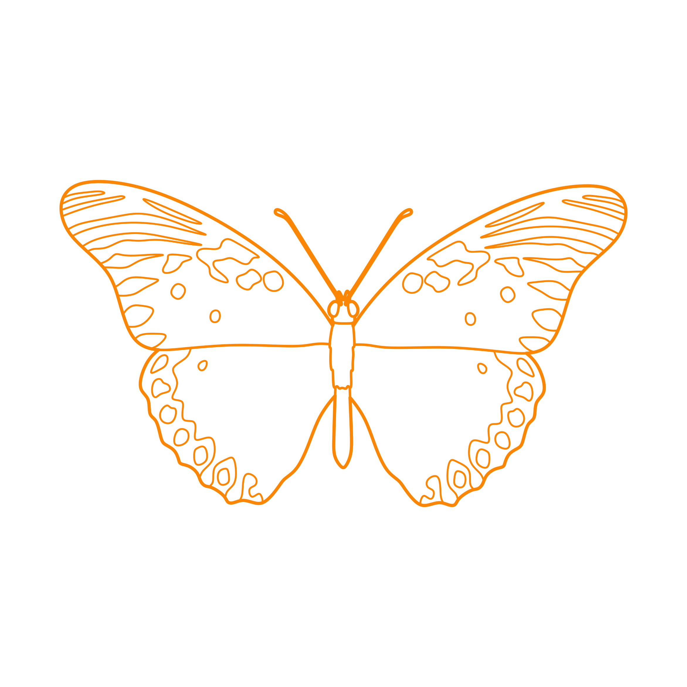Animals Insects Gulf Fritillary Stencil Svg Vector Free Vectors